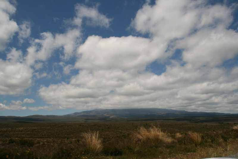 Nieuw-Zeeland 2011 - 0818